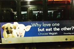 Bus Advertisements - 2015