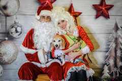 Pet Photos With Santa - December 13, 2021